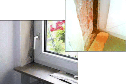 Schimmel aufgrund eines Abdichtungsmangels beim Fenstereinbau