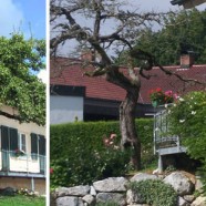 Einfamilienhaus Pfullendorf