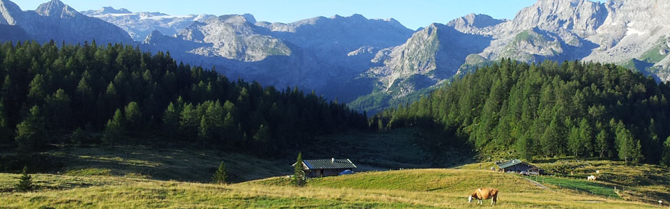 gotzenalm